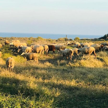 Alojamiento Mar Y Montana Guest House Almeria Luaran gambar